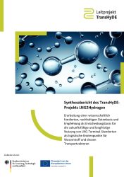 Cover des Syntheseberichts LNG2Hydrogen