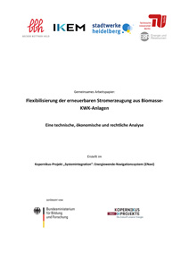 Cover Flexibilisierung der erneuerbaren Stromerzeugung aus Biomasse-KWK-Anlagen – eine technische