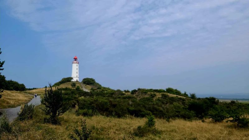 IFZO-Seminar auf der Insel Hiddensee